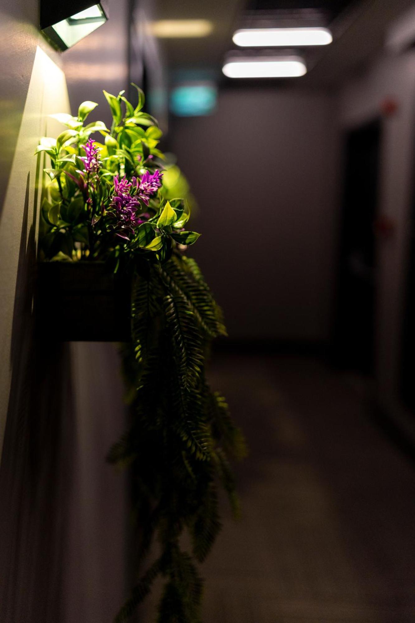 Brandroom Hotel イスタンブール エクステリア 写真
